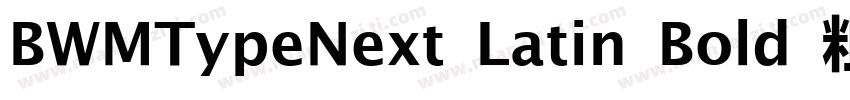 BWMTypeNext Latin Bold 粗体字体转换